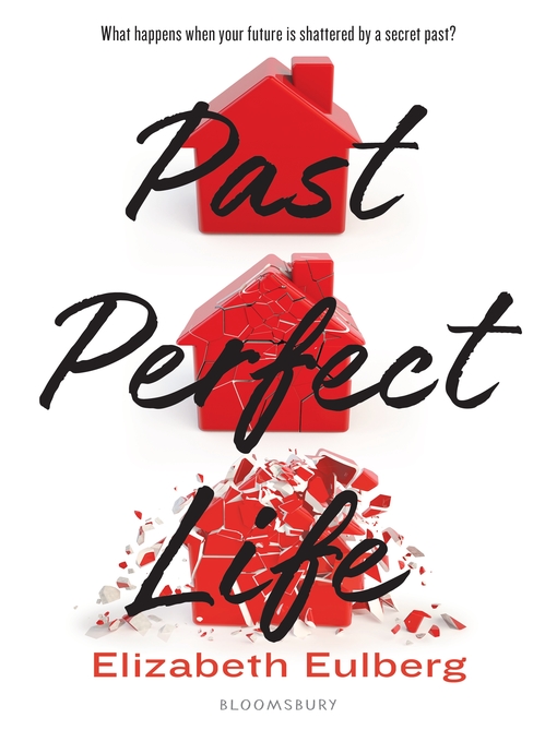 Cover of Past Perfect Life